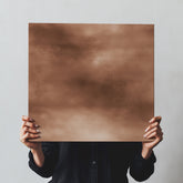 Grounded Warm Sepia Brown Soft