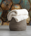 Whimsical Turtle Shell