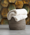 Stylish Turtle Shell
