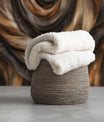 Elegant Antelope Horns