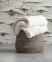 Breathtaking Birch Bark