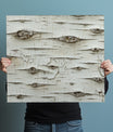 Breathtaking Birch Bark