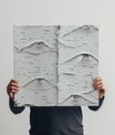 Impressive Birch Bark
