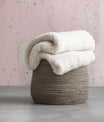 Smooth Concrete Texture