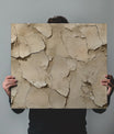 Sharp Concrete Texture