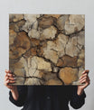 Radiant Cracked Earth