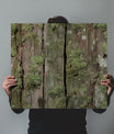 Radiant Moss Covered Wood