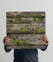 Rustic Moss Covered Wood