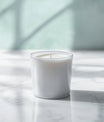 Lustrous Pale Frosted Mint