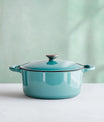 Whimsical Pale Frosted Mint
