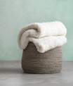 Whimsical Pale Frosted Mint
