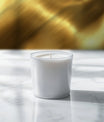 Iconic Polished Brass