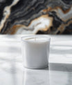 Sophisticated Polished Granite