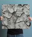 Stylish Rough Concrete