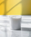 Sophisticated Solid Yellow