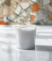 Vivid Terrazzo Chips