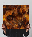 Chic Tortoiseshell