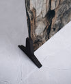 Vivid Tree Bark
